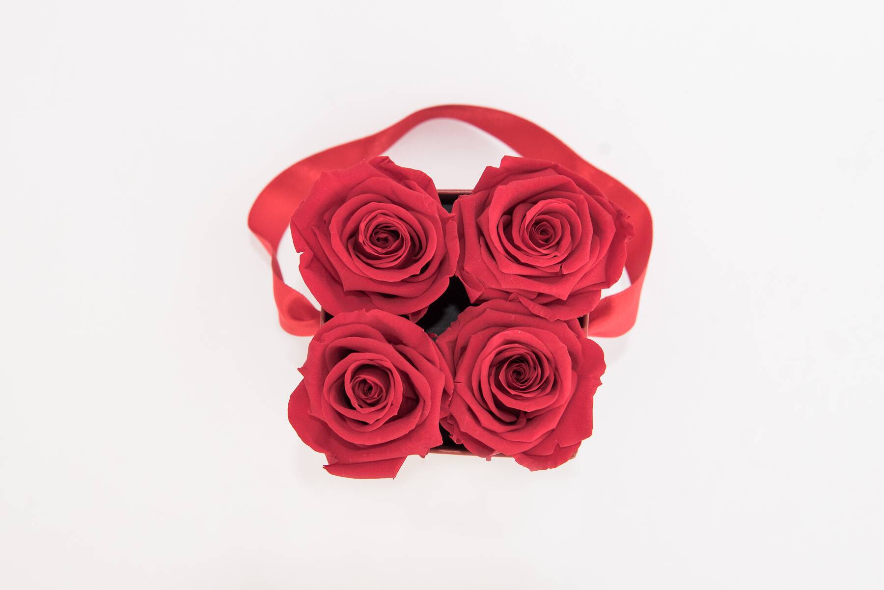 Flower Box Petite - Imagem 24