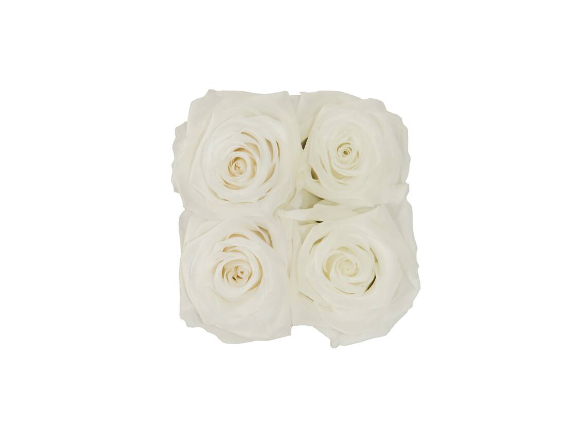 Flower Box Petite - Imagem 3