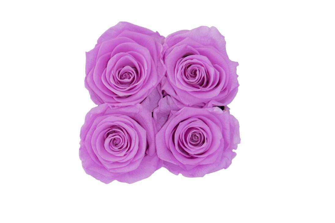 Flower Box Petite - Imagem 6