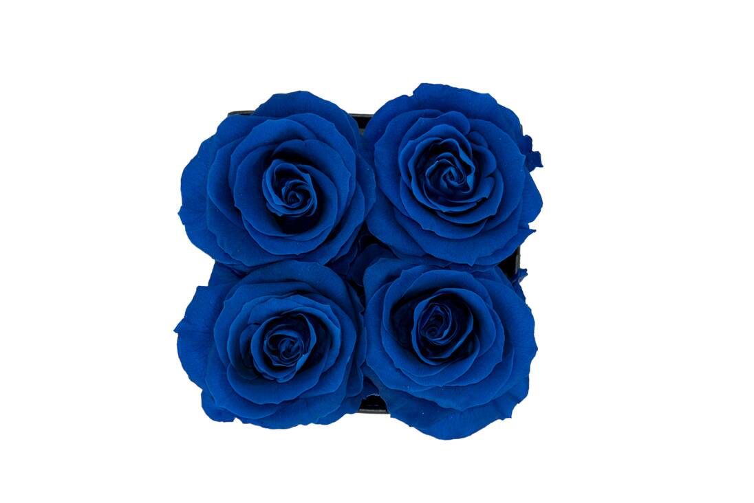 Flower Box Petite - Imagem 9