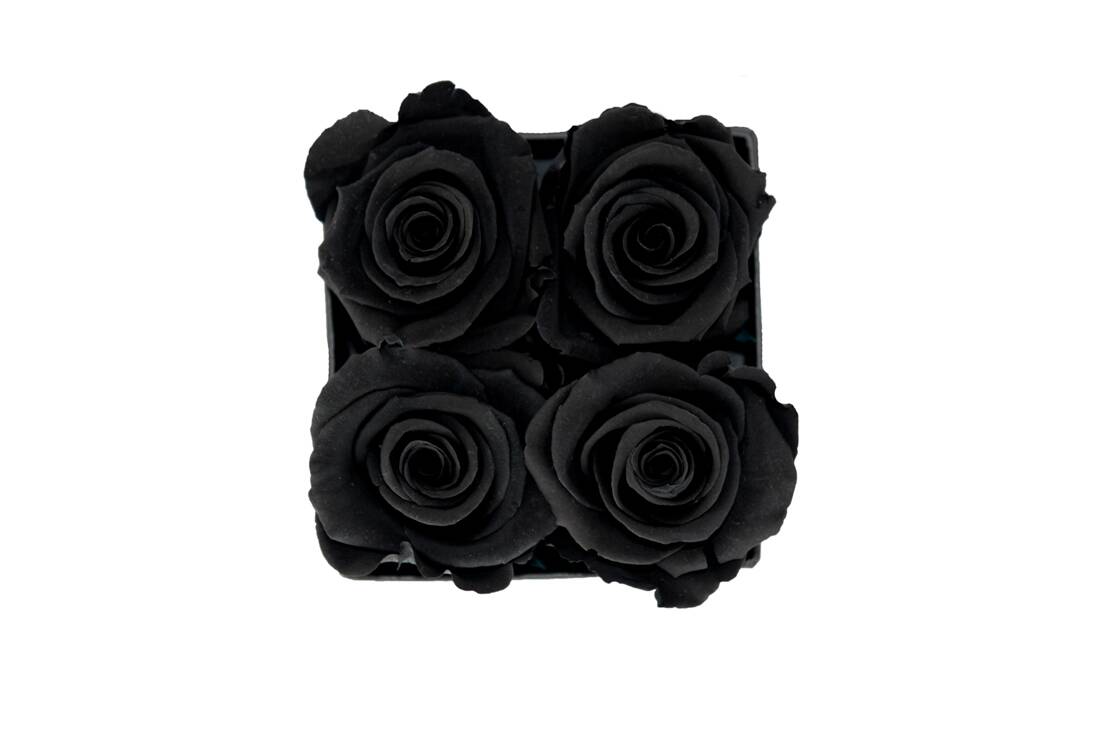 Flower Box Petite - Imagem 11