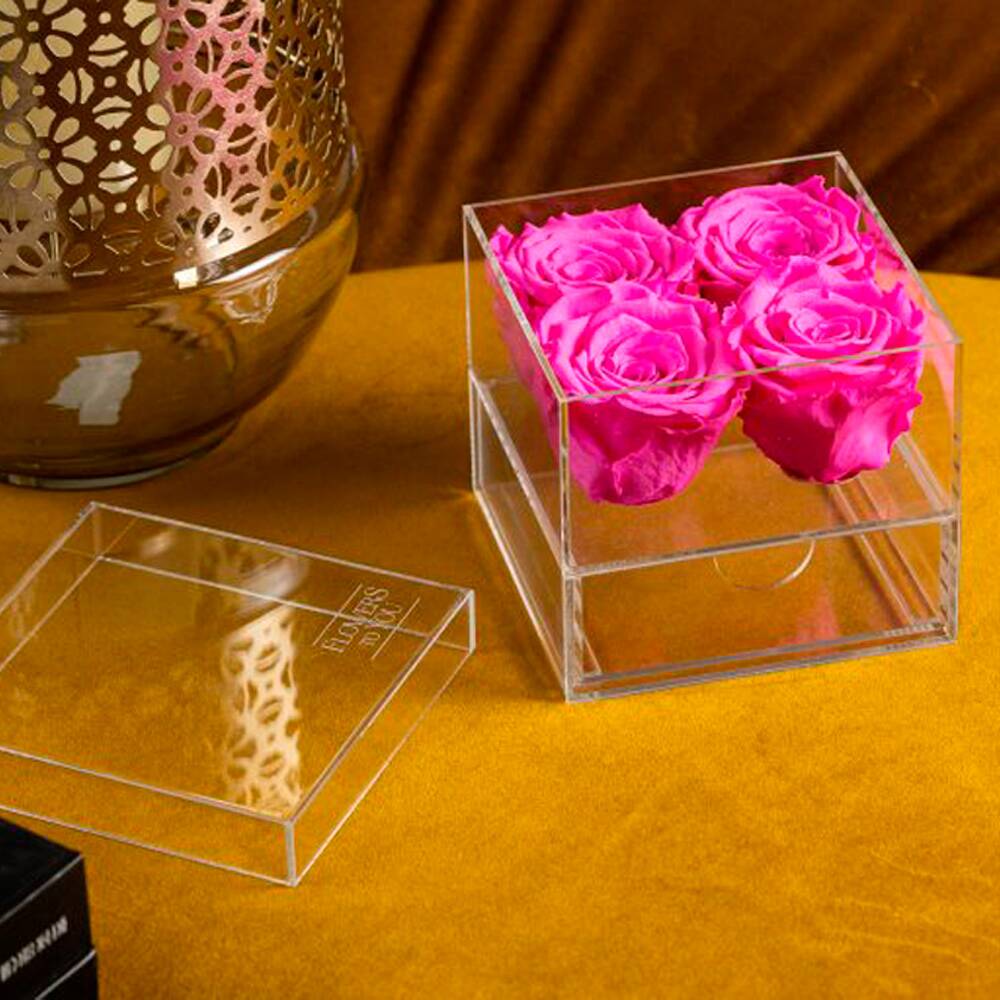 Crystal Box Quatri - Imagem 3