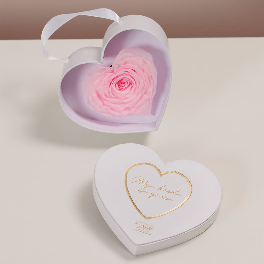 My Heart Is Yours - Imagem 4