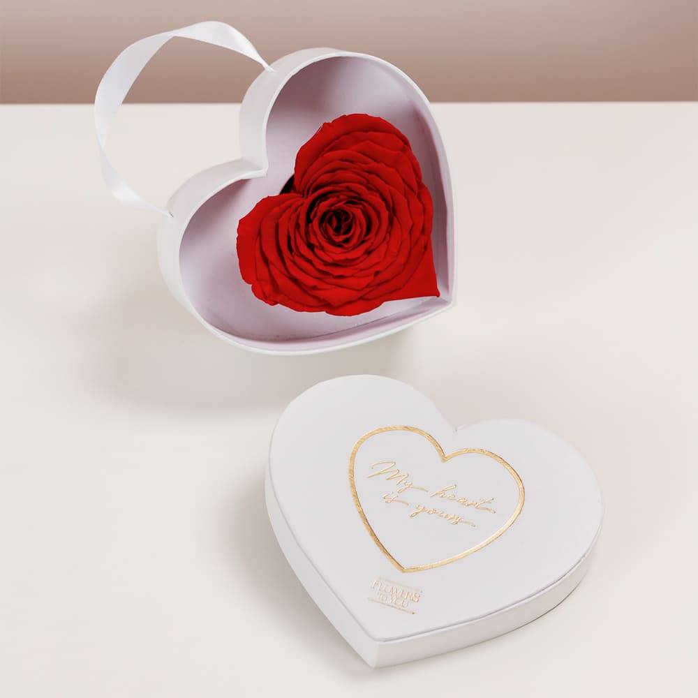 My Heart Is Yours - Imagem 5