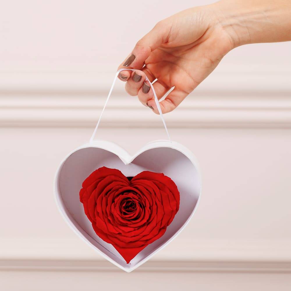 My Heart Is Yours - Imagem 6