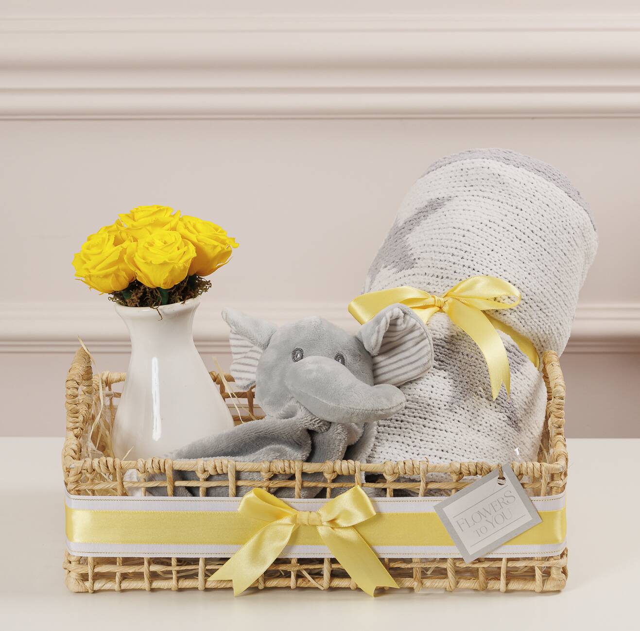 Kit Maternidade Elefante