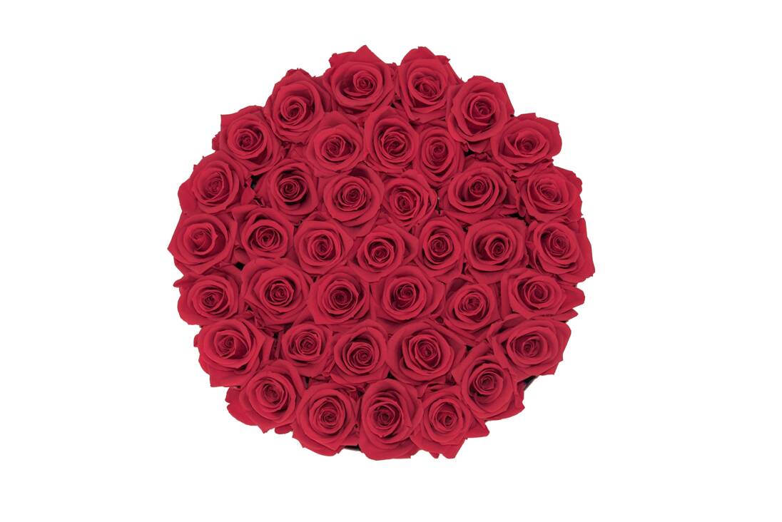 Flower Box GG - Imagem 3