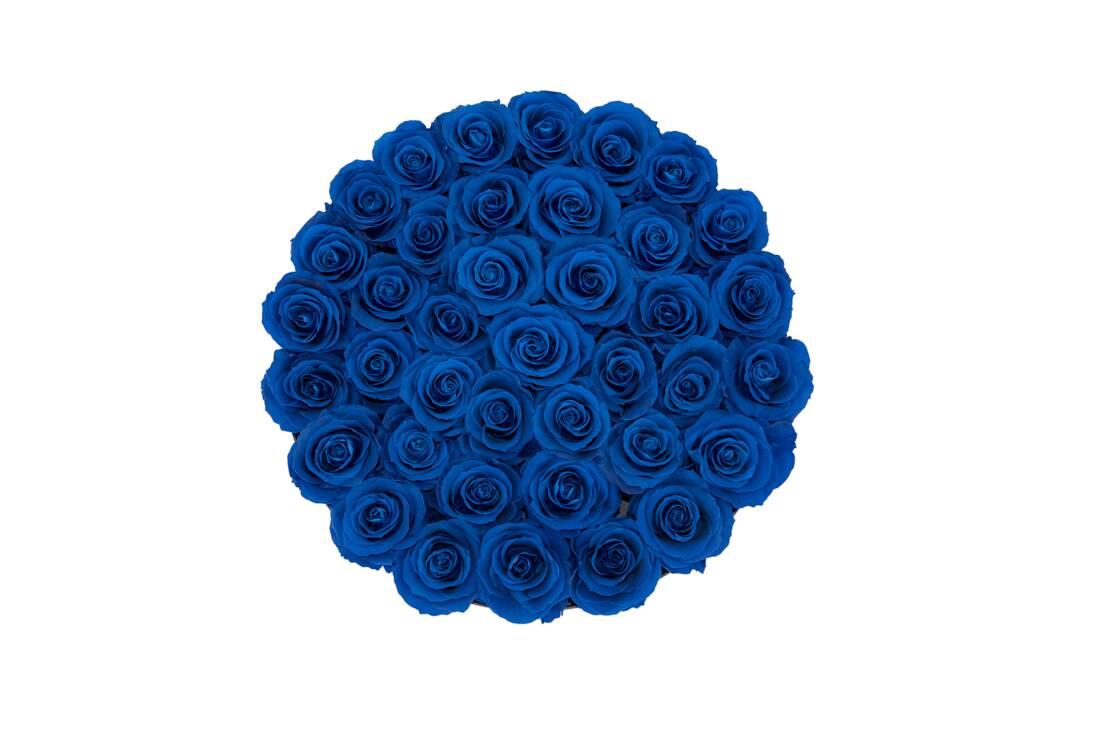 Flower Box GG - Imagem 4