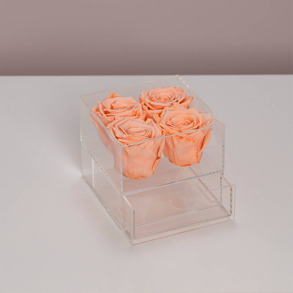 Crystal Box Quatri - Imagem 6