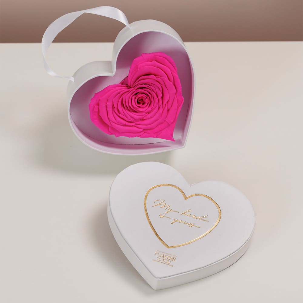 My Heart Is Yours – Rosa Chiclete - Imagem 4