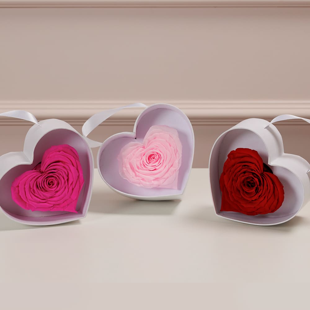 My Heart Is Yours – Rosa Chiclete - Imagem 3